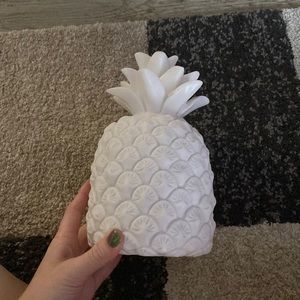 Light Up Decorative pineapple